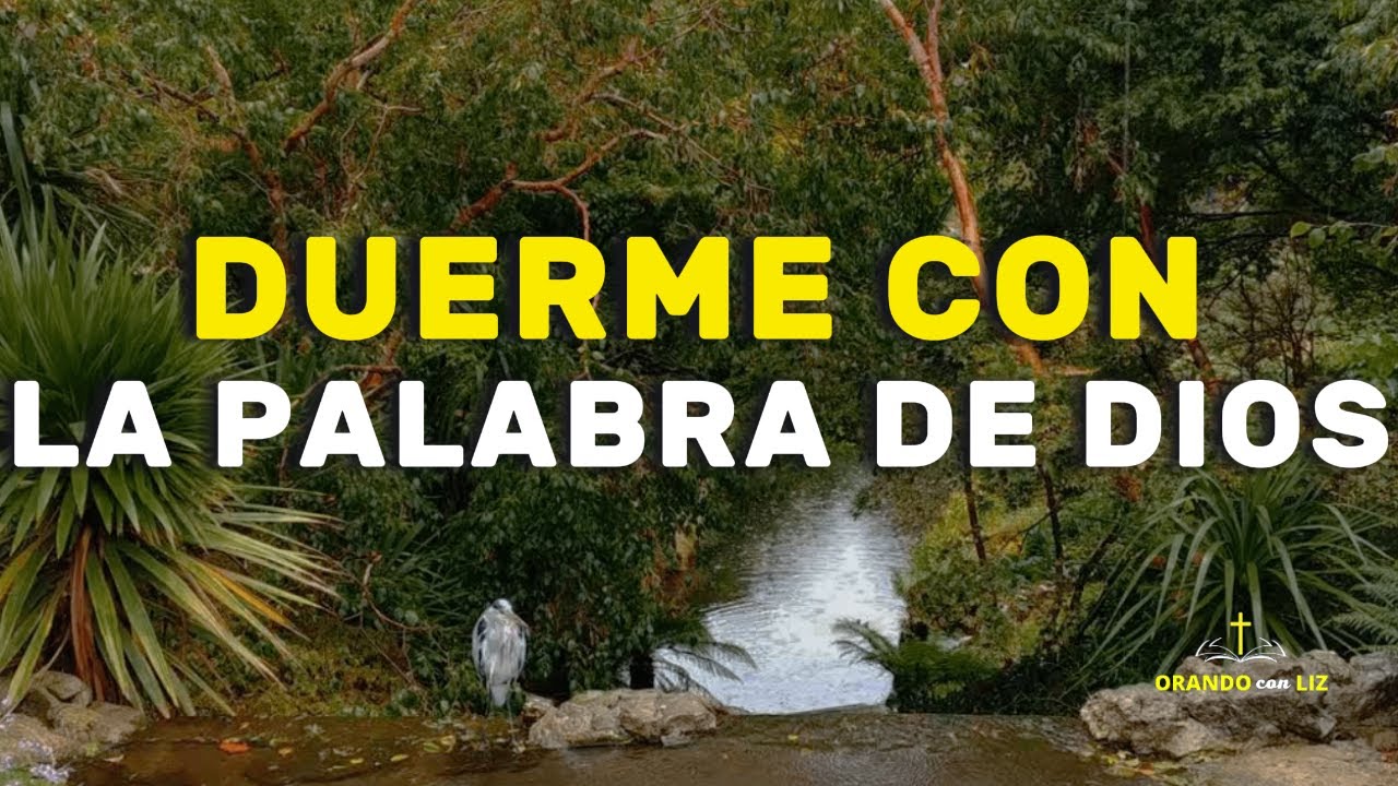 Salmos y Proverbios para dormir | Biblia Hablada | Duerme escuchando la ...
