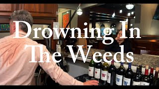 Drowning In The Weeds