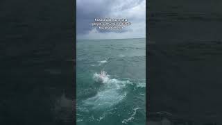 Gerçek Cankurtaran Dalgalı Havada Belli Olur