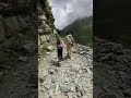 Mere Baba Manimahesh Yatra 2023 Short Viral Mahadev 