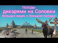 ПОХОДЫ: дикарями на Соловки. Большое видео о 11-ти дневной поездке.