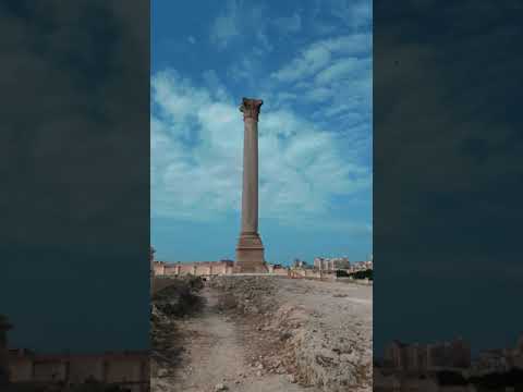 عمود السواري في الإسكندرية     