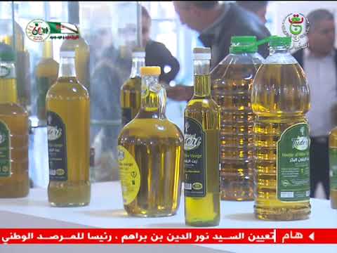 نحو تصدير أزيد من 5 مليون دولار من زيت الزيتون مع نهاية سنة 2024