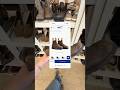 Finding $200 Boots for $3! #thrifting #thrifthaul #columbus #ohio