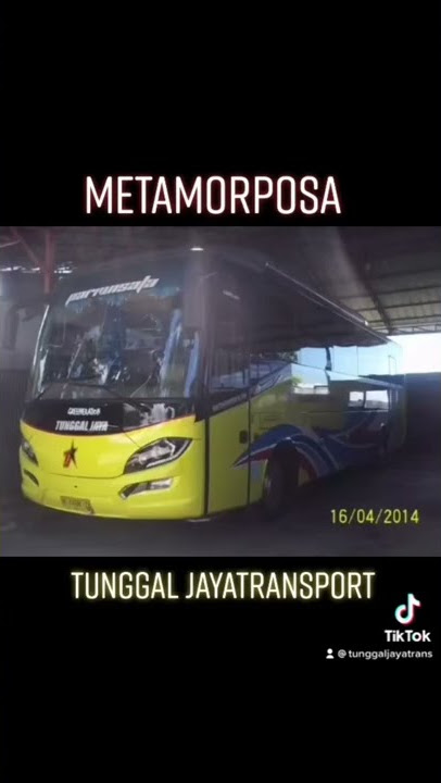 Tunggal Jaya Since 1994