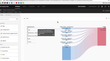 Flow Visualization in Analysis Workspace