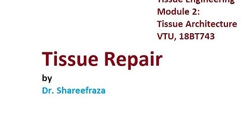 Tissue Engineering, Module 2, Tissue Repair #vtu #tissueengineering #vlog #vtuexams