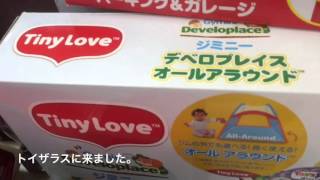 トイザラス仕入れ〔TINY LOVE ジミニー デベロプレイス オールアラウンド〕