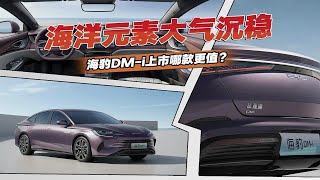售价16.68-23.68万，海豹DM-i导购分析，最推荐121km尊荣型？