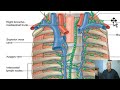 Anatomy for applied medical science(Respiratory Department) 1 (Lymphatic drainage of thorax), Wahdan