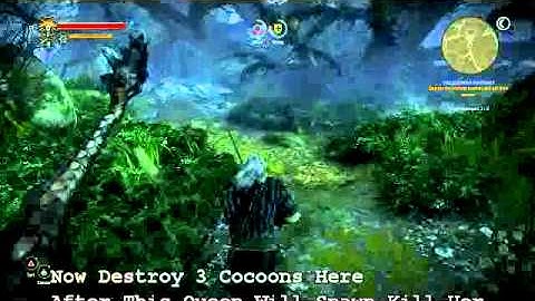 The Witcher 2 Assassin of kings (The Endrega Contract) Quest video Guide