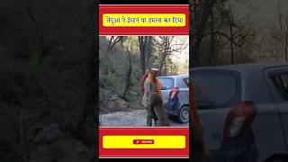 आदमखर तदआ न लग पर हमल कर दय