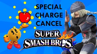 SSB4 Tech - Special Charge Canceling!