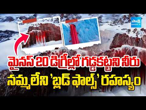 తెల్లటి మంచు కొండల మధ్య.. | The Mystery of Blood Falls in Antarctica Explained | @SakshiTV - SAKSHITV