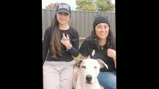 Youve Got A Friend In Me - Randy Newman