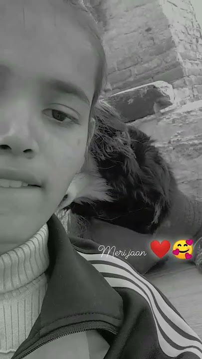 Phir Bhi Tumko Chaahunga - Full Song | Arijit Singh | Arjun K & Shraddha K | Mithoon , Manoj M