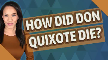 Did Don Quixote realize his mistake?