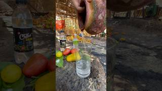 Goas Jungle Juice  Urrak  goa junglejuice goan goanlife goanrecipe goanrecipes goalife