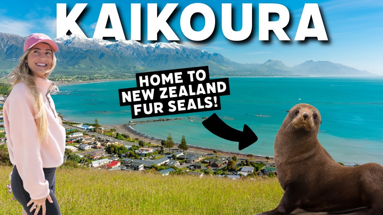 24 часа в Кайкоуре — чем заняться в Кайкоуре! Путешествия по Новой Зеландии