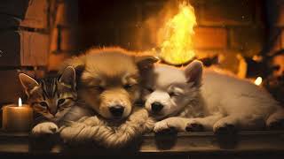 Fall into asleep with Fireplace sounds for relax, Study music, AMSR sounds, White noise, meditation