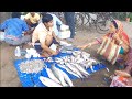 বাবা অসুস্থ , মেয়ে ব্যবসা সামলাচ্ছে || Father is sick , daughter is managing the business