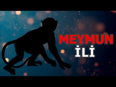 Video: Meymun Ili. 2016-cı Ildə Necə Dincəlirik?