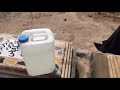 المرحوم عبد الأمير محمد شكرابو حارث وهو يقرأ فاتحة الى خالي قاسم مسجدي