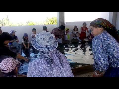 Alunos de Salgueiro do Campo revivendo Tradições