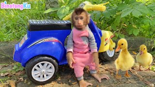 Cute Monkey Luby Rides a Vespa Motorbike and Relaxes in the Garden