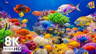 Marvel at the Wonders of Sea Creatures in The Best 8K ULTRA HD Aquarium – Calming Underwater Scenes