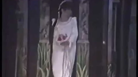 The Pirates of Penzance 1981 Broadway Commerical