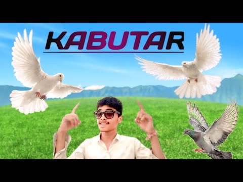 Kabutar new vlog 6029 support karo bhai ko subscribe please bhai logo