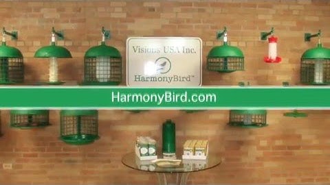 Harmony Bird - Oriole, Hummingbird, Tray Feeders and more!