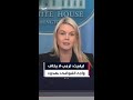 ليفيت ترمب لا يخاف واجه الفوضى بهدوء 