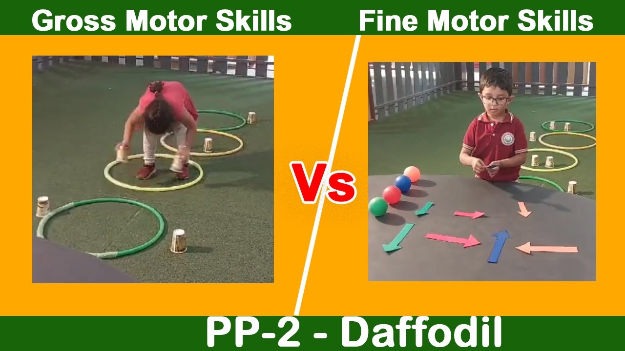 Gross Motor Vs Fine Motor Skills Activity By PP-2 - Daffodil🌼 | NGS ...