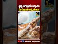 5300 ఏళ్ల మమ్మీలో ఇంకా జీవం! | సైన్స్ చరిత్రలో అద్భుతం వేల ఏళ్లనాటి మమ్మీలో జీవం