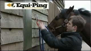 Equi-Ping