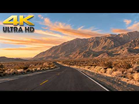 Roaming Nevada's Endless Desert: Reno to Las Vegas Complete Scenic Drive