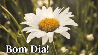 Mensagem de Bom Dia! Feliz Quarta Feira!