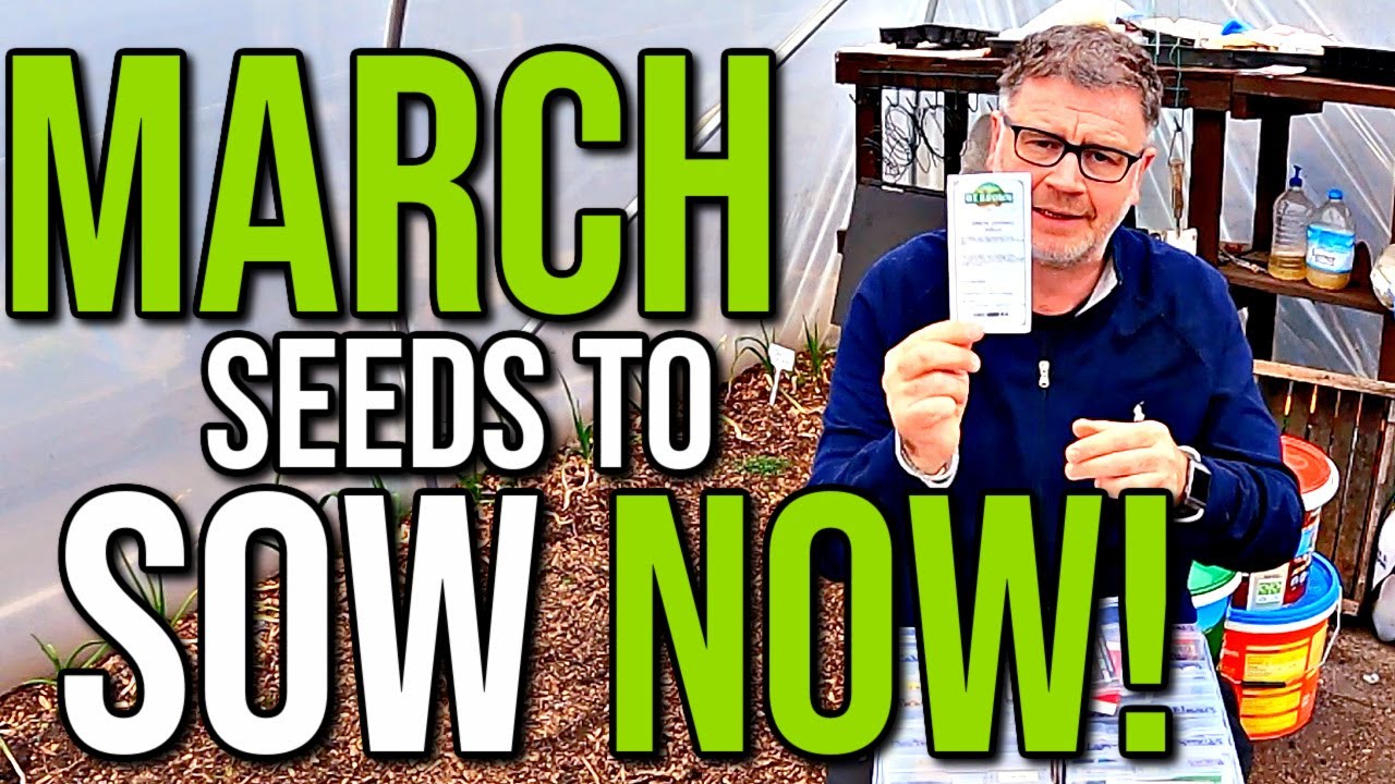 Seeds To Plant In March What Seeds To Sow In March What To Grow In March YouTube
