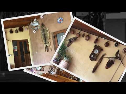 Satul Răchițele, jud