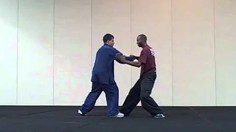 Freestyle Push Hands Demo w/ narration by Sifu Lan...