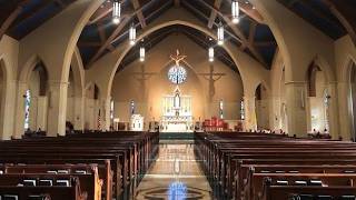 Fifteenth Sunday in Ordinary Time Vigil Mass 07/11/2026