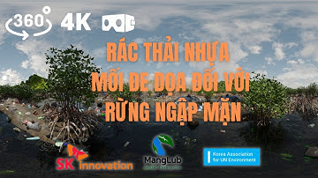 4k 360 VR RÁC THẢI NHỰA MỐI ĐE DỌA ĐỐI VỚI RỪNG NGẬP MẶN