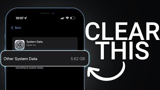 Famous Delete Ios System Data Storage Without Reset or Download Any Software✅gaurantee Solve your Problem Profile