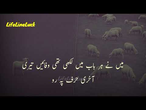 I Feel Like I Am Broken Sad Ghazal Status Whatsapp Status