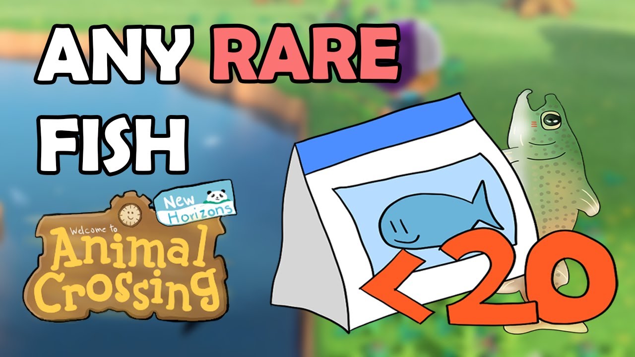How to get ANY RARE FISH with 20 Fishbait or less in Animal Crossing New Horizons [Fishing Guide] - YouTube