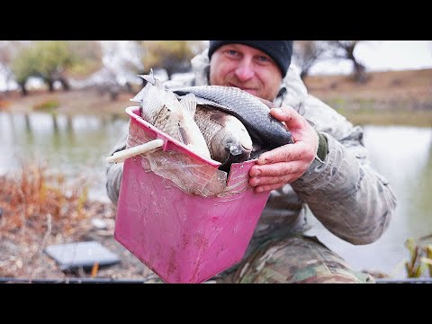 ПЕРВЫЙ ЛЁД. ПОЛНОЕ ВЕДРО КАРАСЕЙ. Рыбалка на поплавочную удочку.