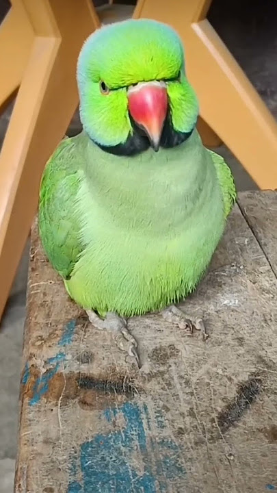 😘😘