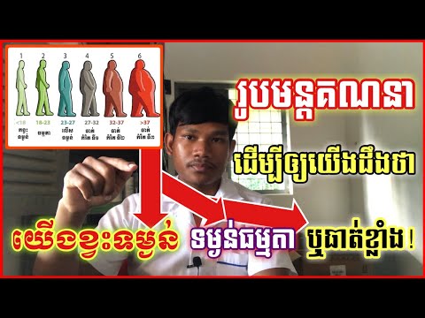 របៀបគណនា BMI | ដើម្បីដឹងថាទម្ងន់របស់យើងខ្វះ ធម្មតា ឬក៏លើសទម្ងន់